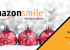 Shop on AmazonSmile over the Holidays and Seamlessly Donate to REBOOT